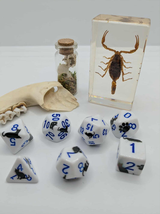 Little Black Cat Dice Set